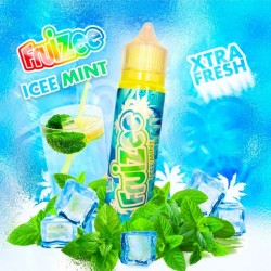 ICEE MINT - 50 ml