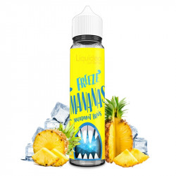 FREEZE MANANAS ~ 50 ml