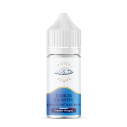 CONCENTRÉ ~ étoiles filantes