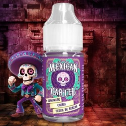 CONCENTRÉ ~ Limonade Cassis Fleur de Sureau