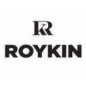 Roykin